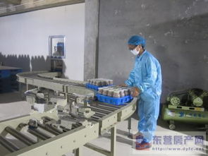 東營市產業雙輪驅動 食用菌產業發展與房地產開發的協同并進